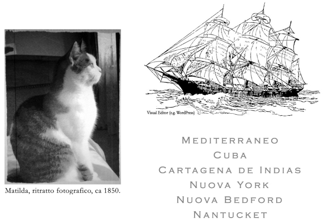 Matilda e il Capitano - ovvero il Moby Dick perduto - STORIE DI ITALIANI NEL MONDO